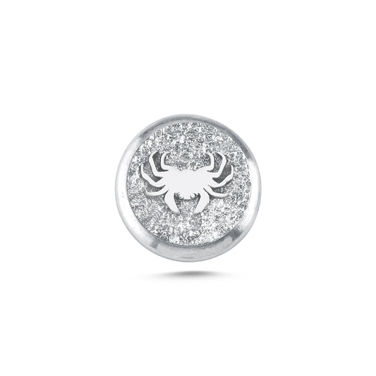 Cancer Zodiac Animal Magnetic Charm