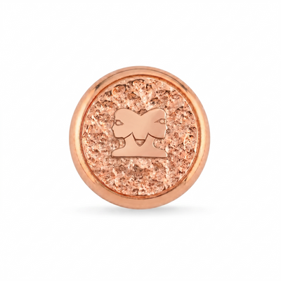 İkizler Burcu Sembolü 2 Manyetik Charm - Rose Silver