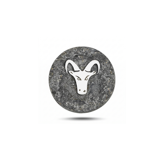 Capricorn Zodiac Animal Magnetic Charm