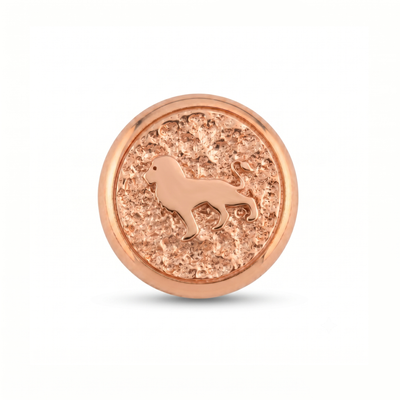Aslan Sembolü 2 Manyetik Charm - Rose Silver