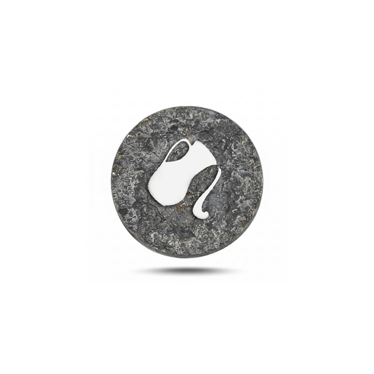 Aquarius Zodiac Symbol Magnetic Charm No. 2