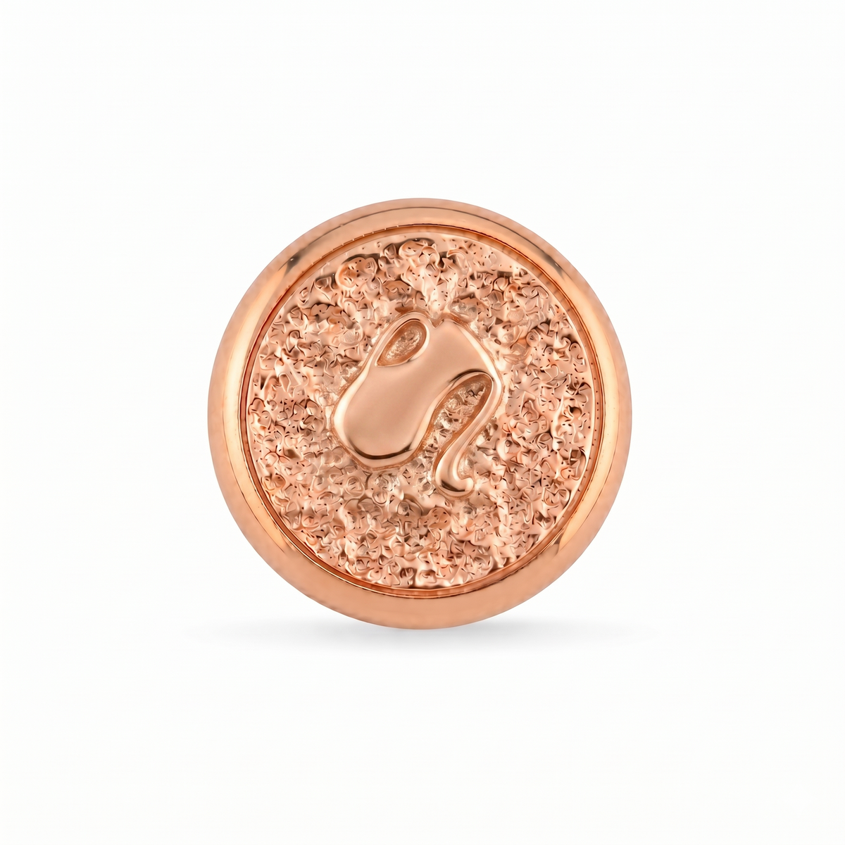 Kova Burcu Sembolü 2 Manyetik Charm - Rose Silver