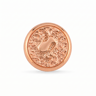 Kova Burcu Sembolü Manyetik Charm 2 - Rose Silver