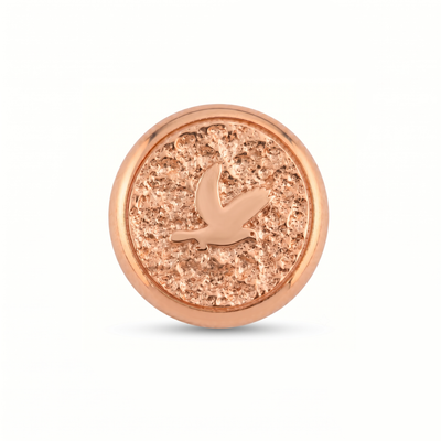 Güvercin Sembolü 1 Manyetik Charm - Rose Silver