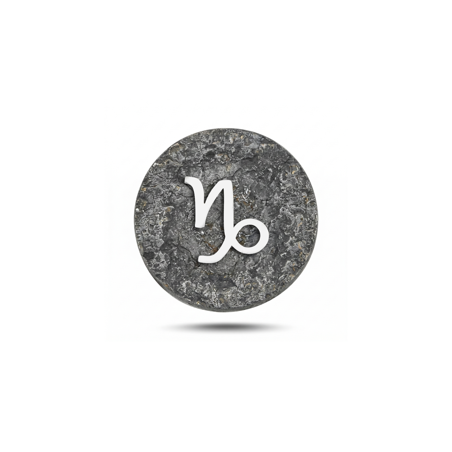 Capricorn Zodiac Symbol Magnetic Charm