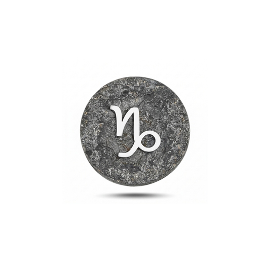 Capricorn Zodiac Symbol Magnetic Charm