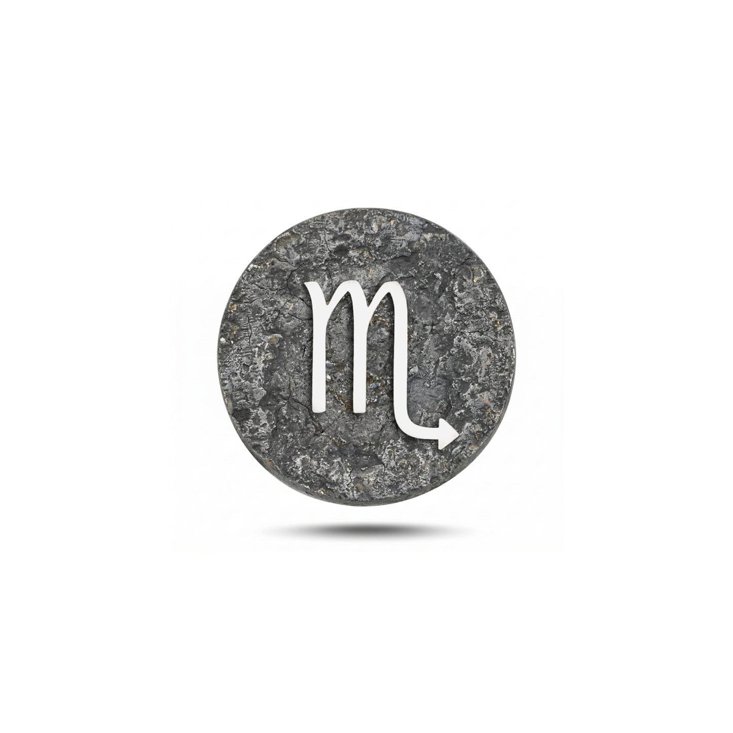 Scorpio Zodiac Symbol Charm