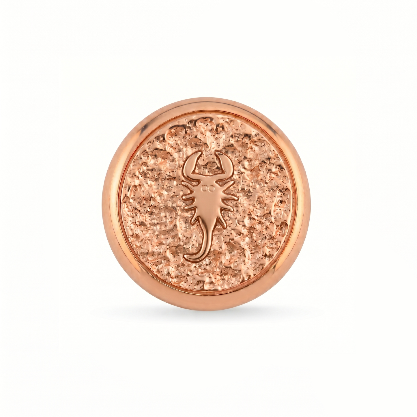 Akrep Burcu Hayvanı Charm