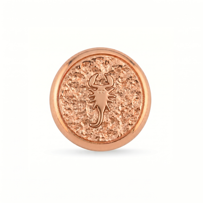 Akrep Burcu Hayvanı Charm - Rose Silver