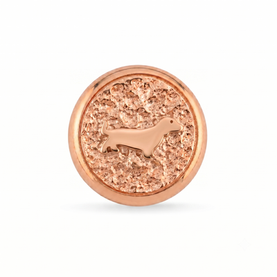 Köpek Sembolü 3 Manyetik Charm - Rose Silver