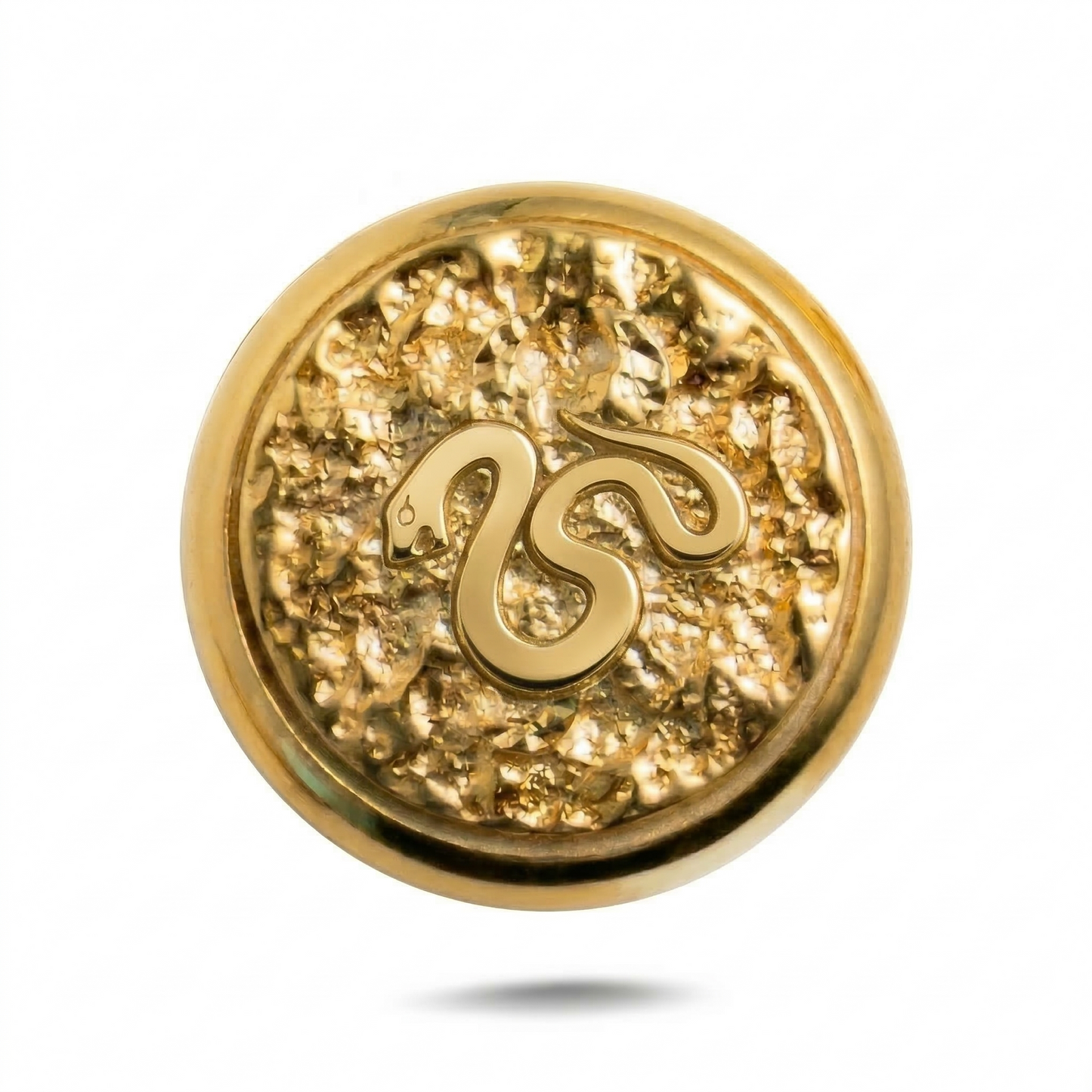 Snake Symbol Magnetic Charm
