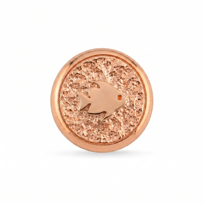 Balık Sembolü Manyetik Charm - Rose Silver
