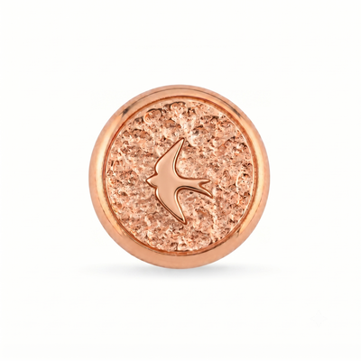 Kuş Sembolü 2 Manyetik Charm - Rose Silver