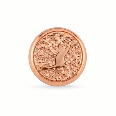 Kedi Sembolü 2 Manyetik Charm - Rose Silver