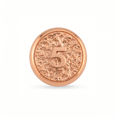 5 Rakamı Manyetik Charm - Rose Silver