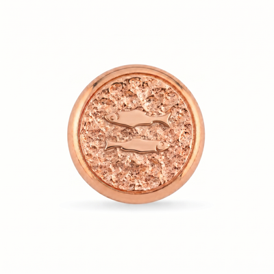 Balık Burcu Hayvanı Manyetik Charm - Rose Silver