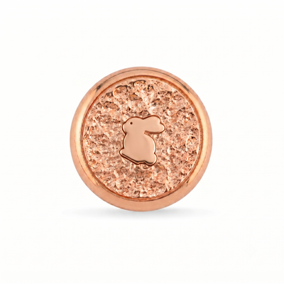 Tavşan Sembolü Manyetik Charm - Rose Silver