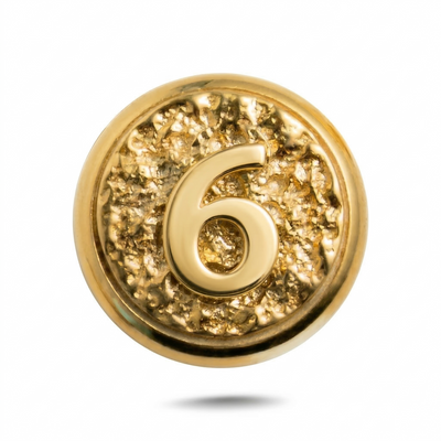 Number 6 Magnetic Charm - Gold Silver
