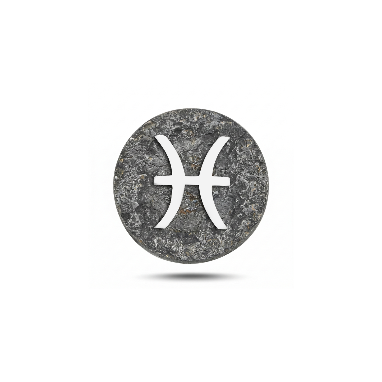 Pisces Zodiac Symbol Magnetic Charm