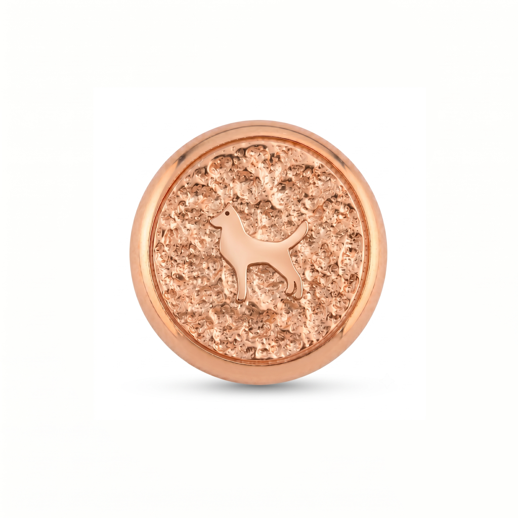 Köpek Sembolü 4 Manyetik Charm - Rose Silver