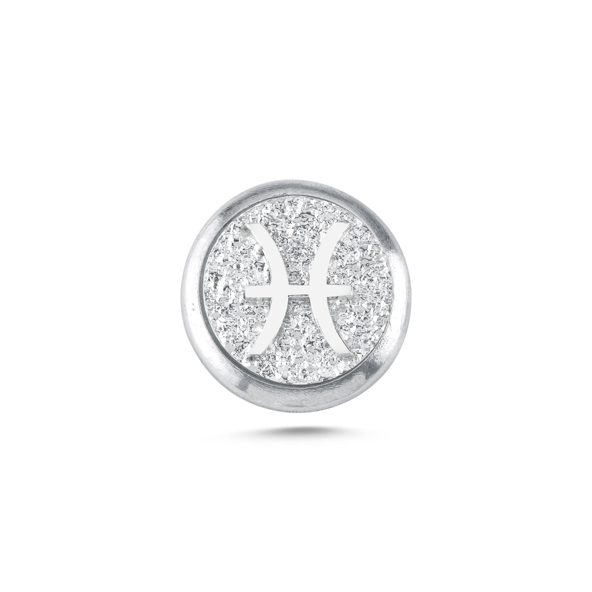 Balık Burcu Sembolü Manyetik Charm - Light Silver